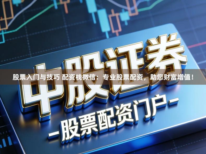 股票入门与技巧 配资栈微信：专业股票配资，助您财富增值！