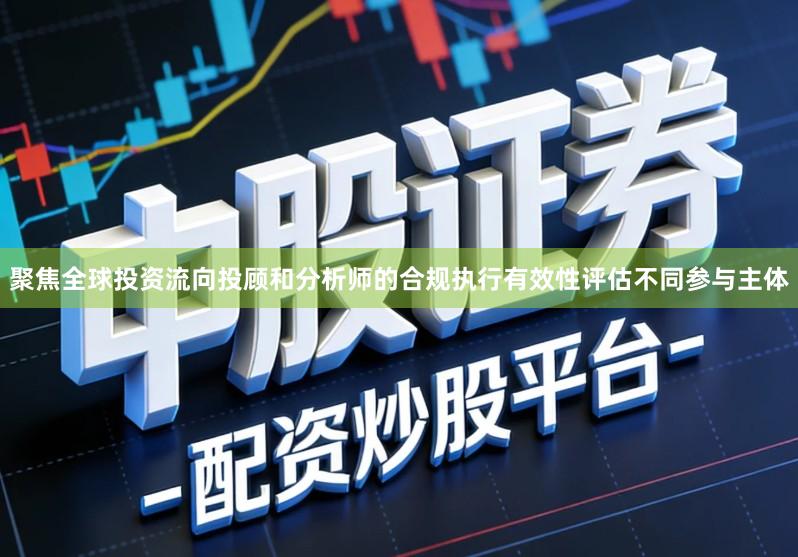 聚焦全球投资流向投顾和分析师的合规执行有效性评估不同参与主体