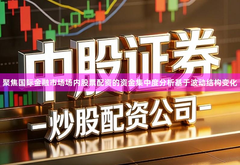 聚焦国际金融市场场内股票配资的资金集中度分析基于波动结构变化