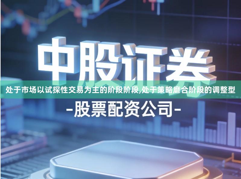 处于市场以试探性交易为主的阶段阶段,处于策略磨合阶段的调整型